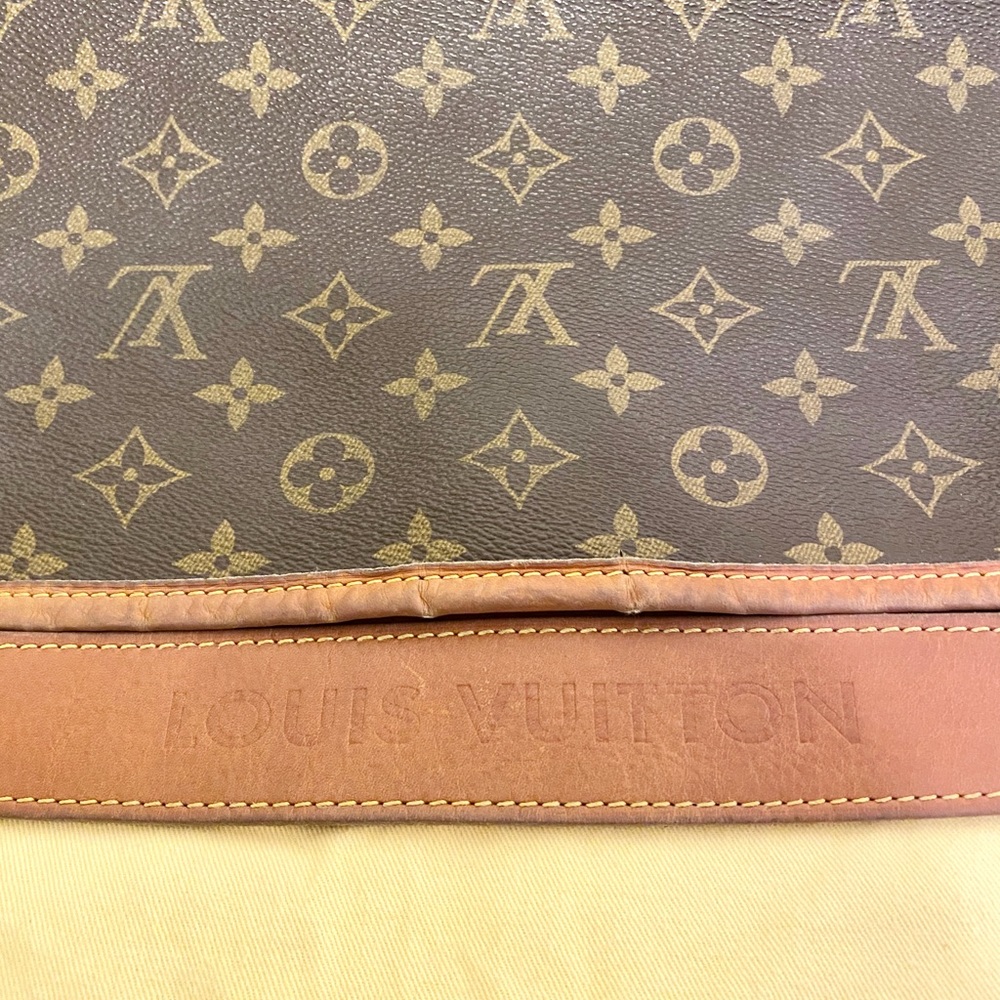 Authentic Louis Vuitton ‘Delightful’ PM Tote - Picture 6 of 16